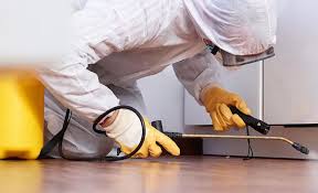 Best Pest Prevention Services  in Hagaman, NY